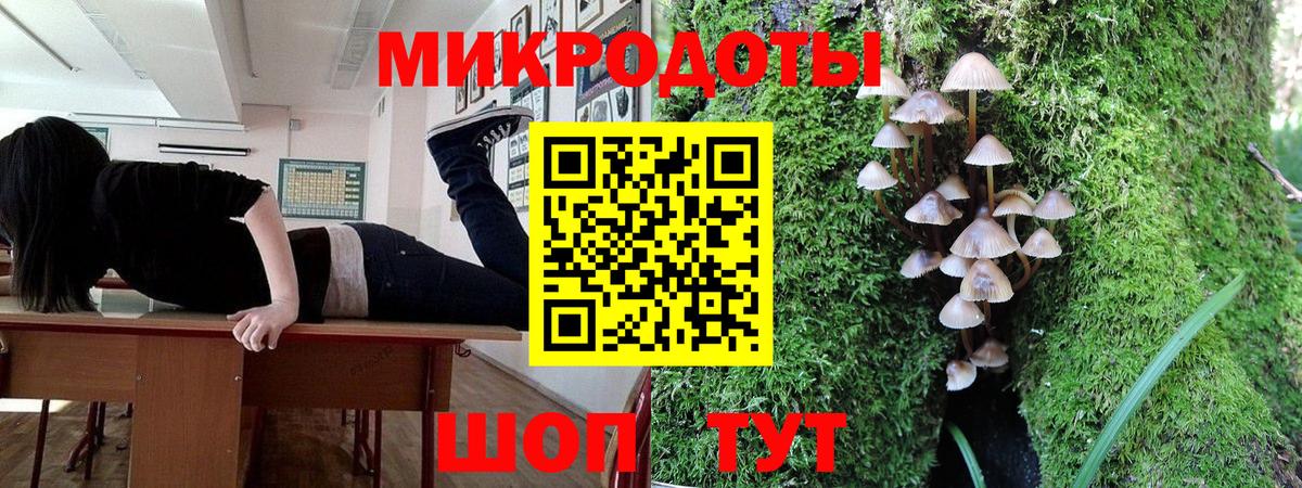 Псилоцибиновые грибы прущие грибы Каменск-Шахтинский